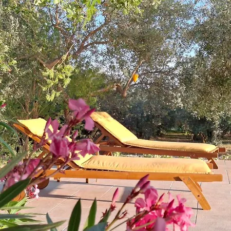 Casa vacanze House Zara, Pomer